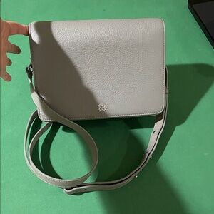 NWT Dagne Dover Sage Crossbody Bag Medium Size